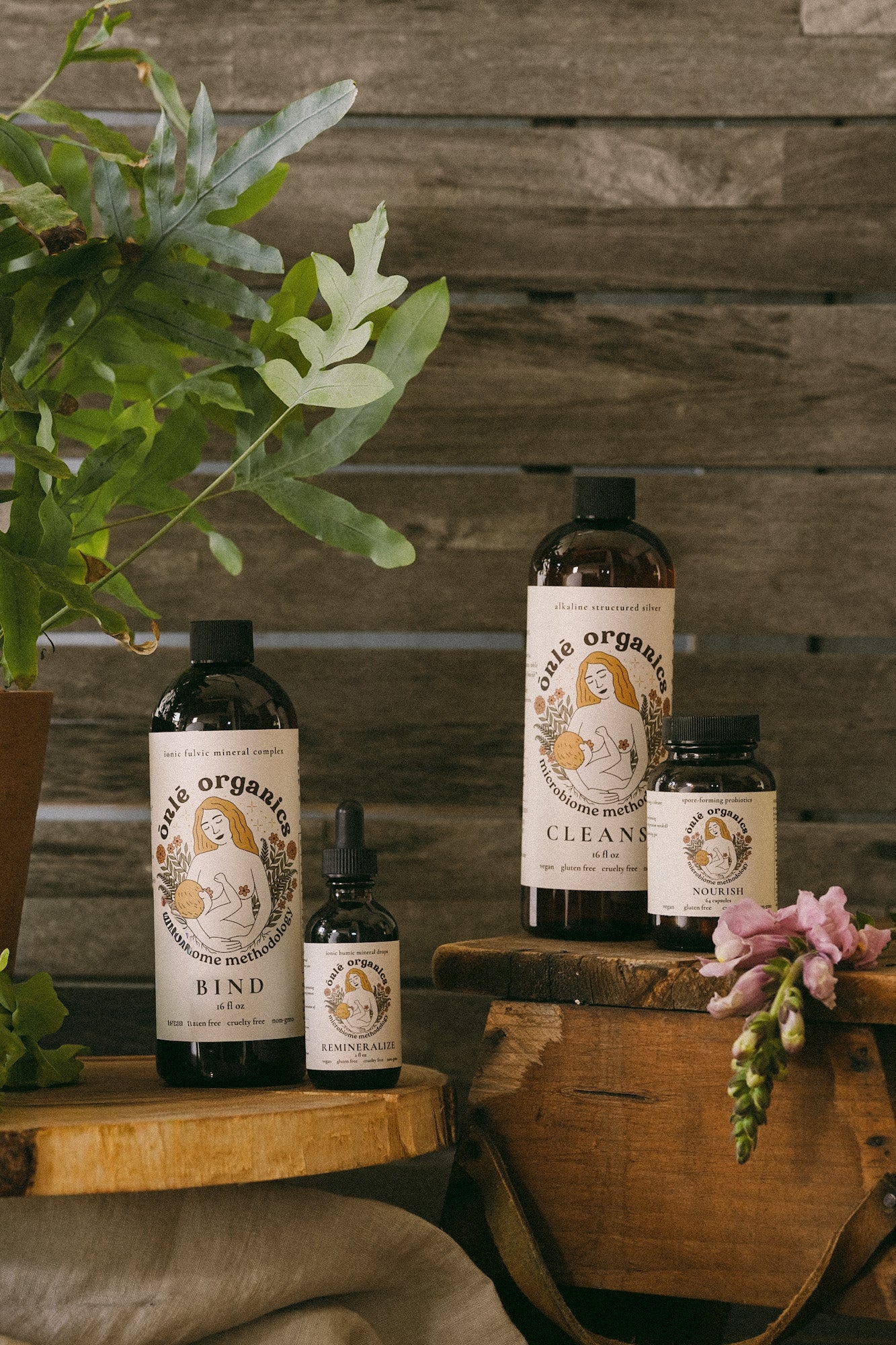 Cleanse Everyday Immune Boost