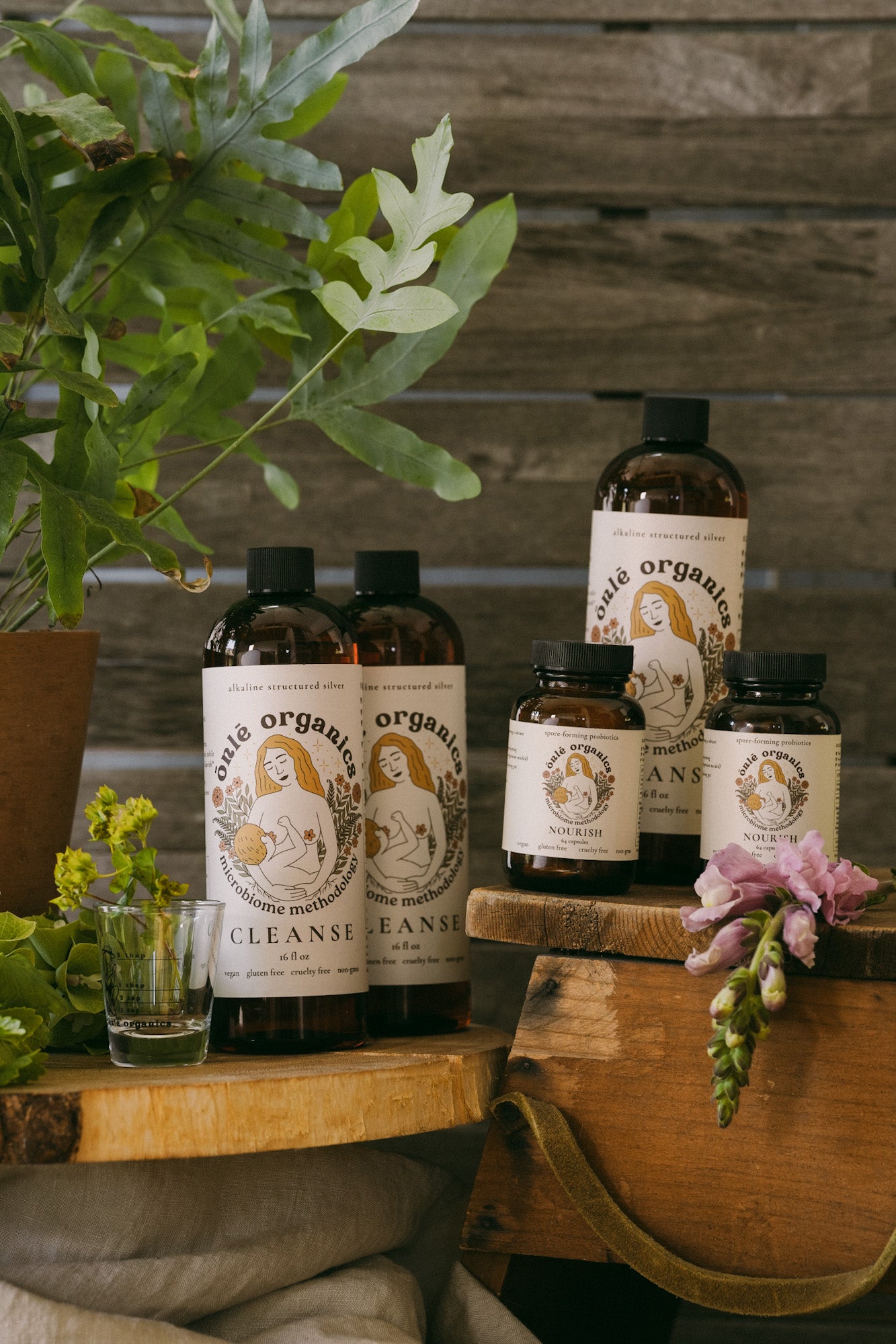Men's Gut Rebalance Kit