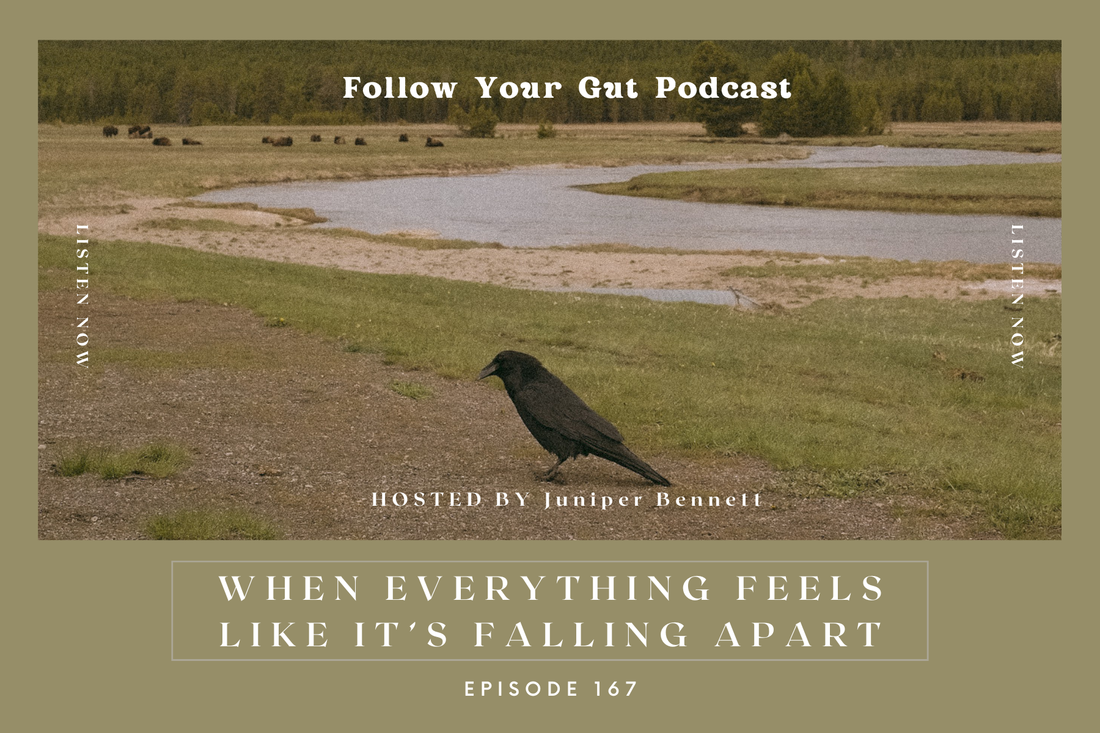 When Everything Feels Like It’s Falling Apart