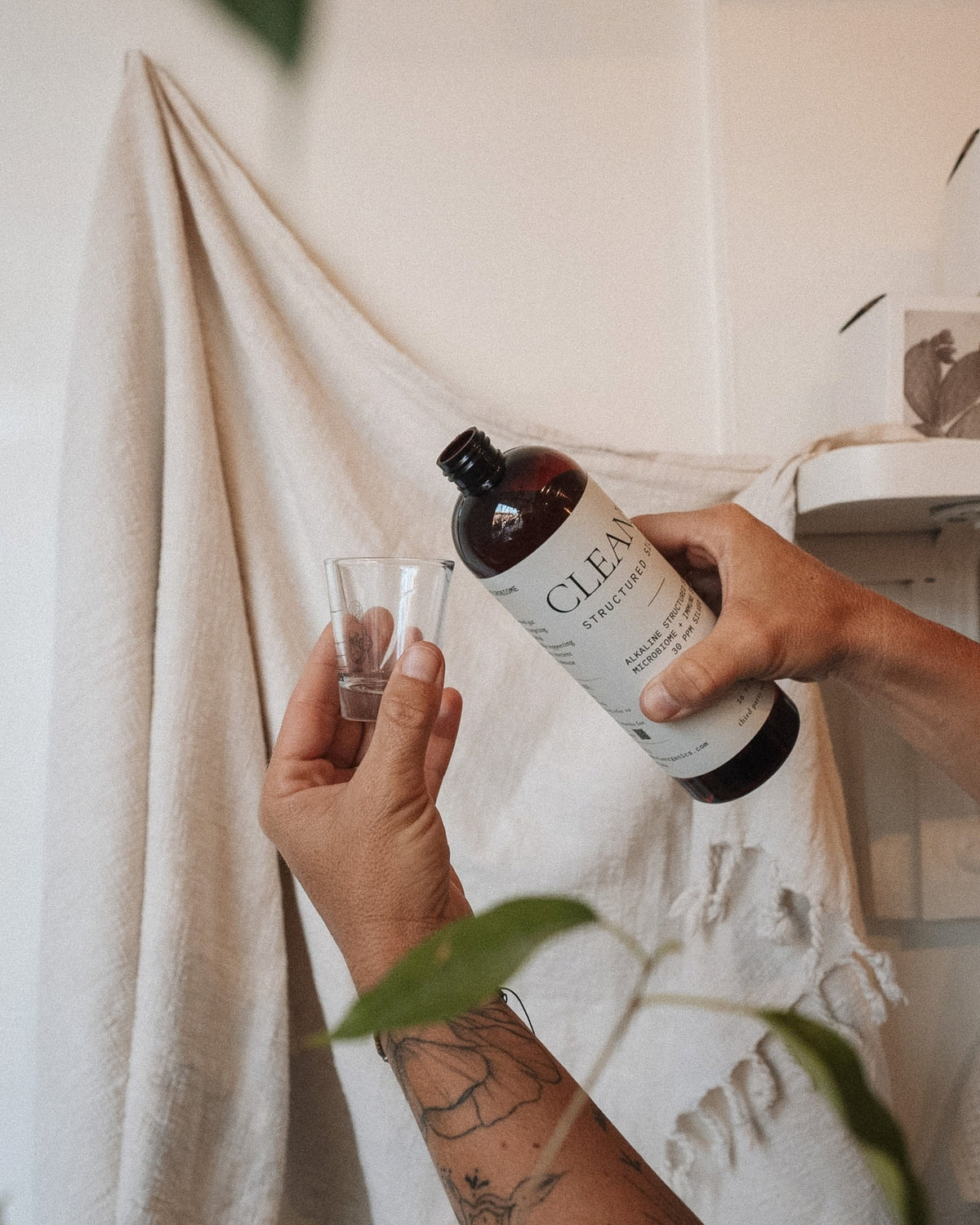 Cleanse Everyday Immune Boost