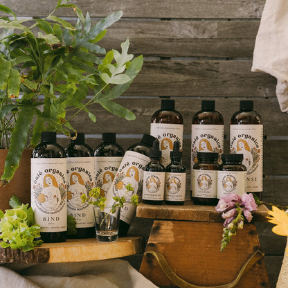 Mold Recovery Bundle