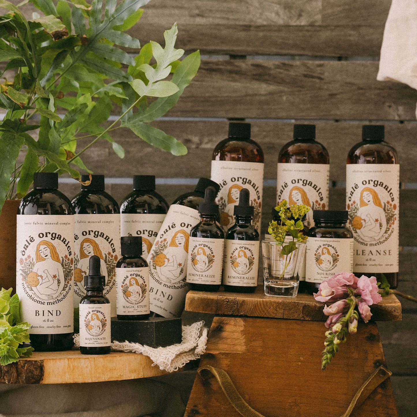 Scalp Healing Bundle