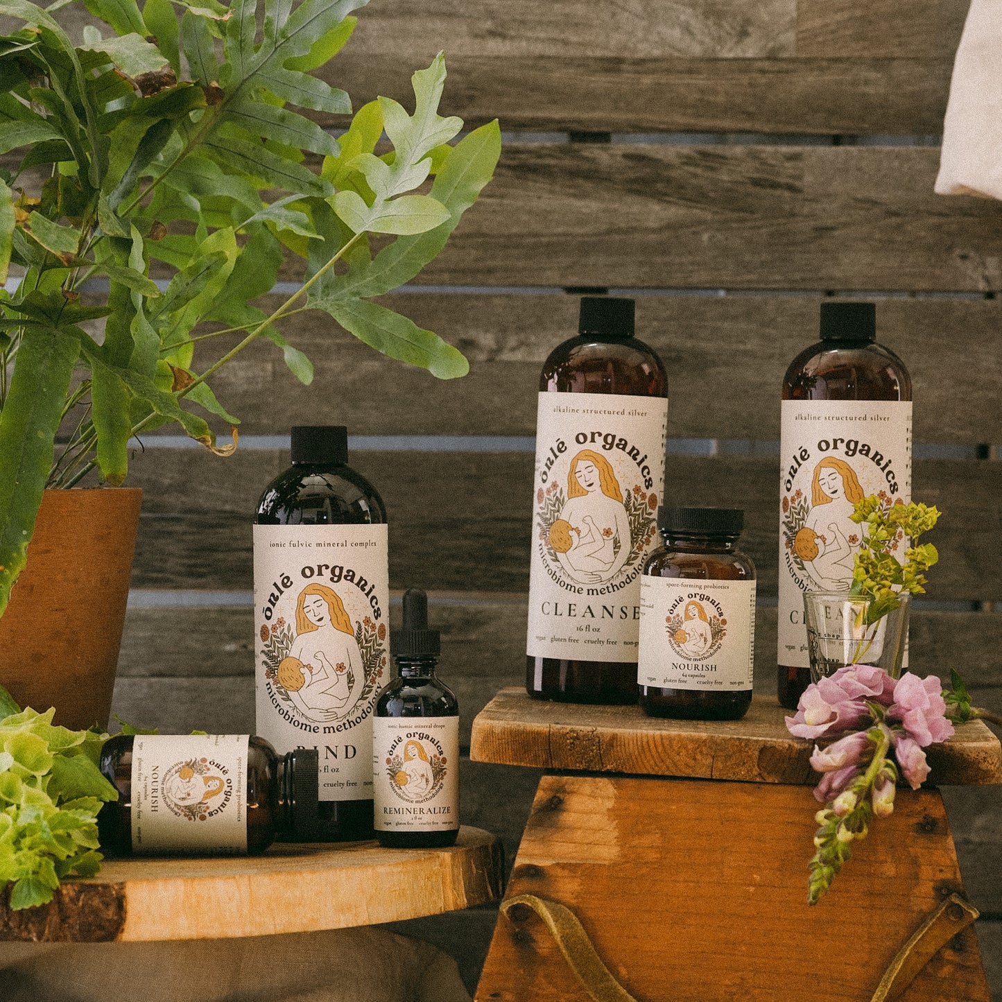 Mold Recovery Bundle