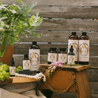 Scalp Healing Bundle