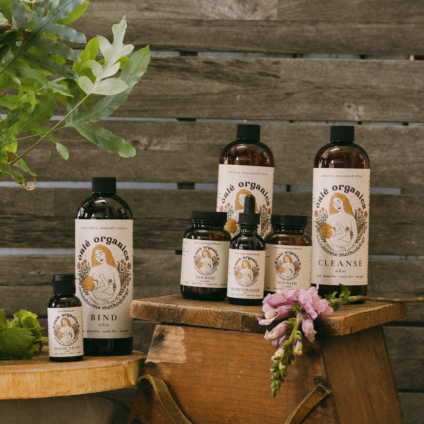 Parasite Cleansing Bundle